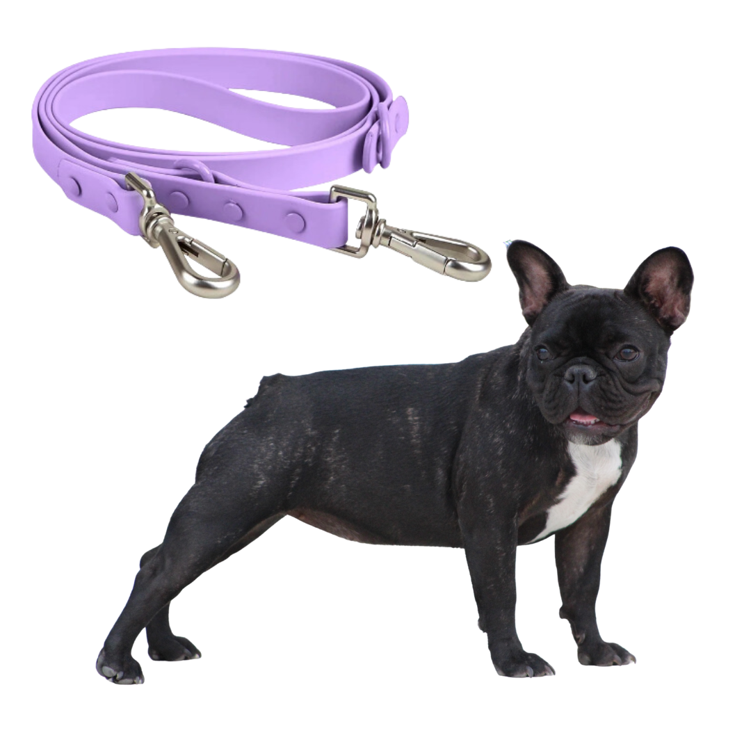 No Pull French Bulldog Harness with Matching Leash