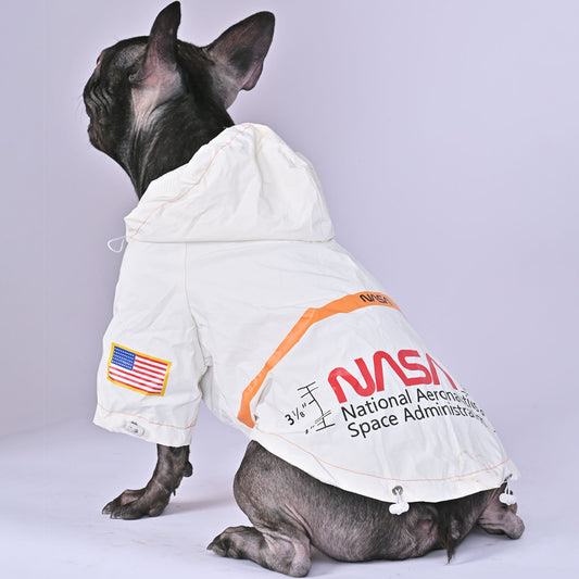 Astronaut Raincoat for French Bulldog (WS213) - Frenchie Bulldog Shop