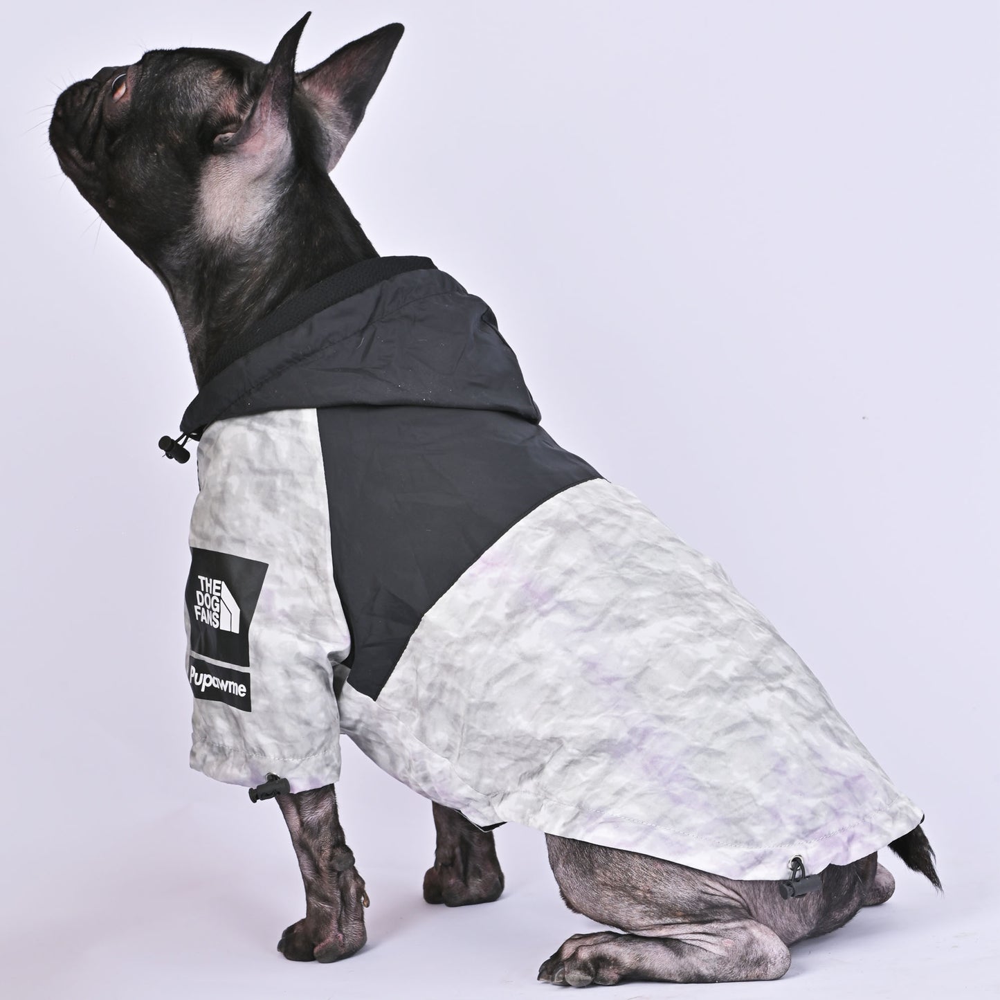 Petque™ - Frenchie Trendy Raincoat