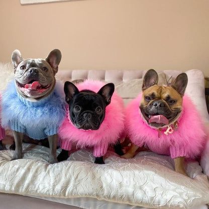 Plush-Luxury-Feather-Frenchie-Sweater