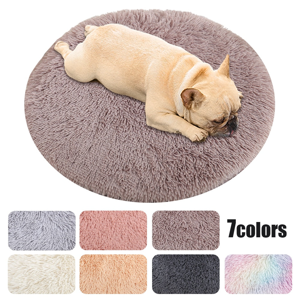 Plush Bed colours for French Bulldog