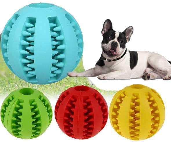 Teeth Cleaning Toy for French Bulldog (WS68) - Frenchie Bulldog Shop