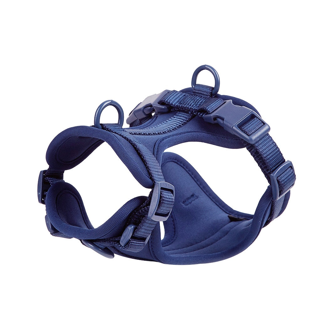 Quick Release Frenchie Harness and Leash