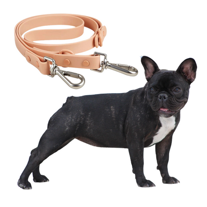 Quick Release Harness with leash for Frenchies