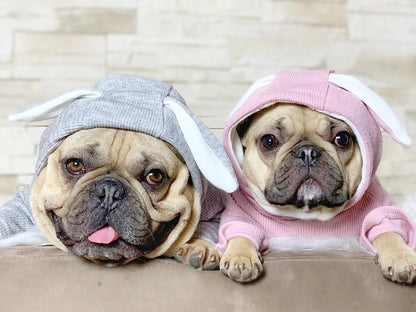 Rabbit Hoodie for French bulldog