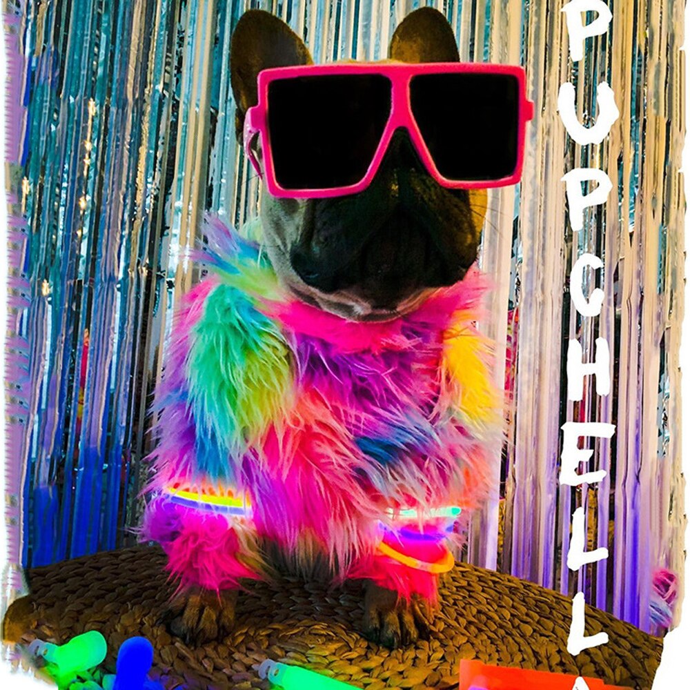Frenchline™ - French Bulldog Rainbow Sweater - Frenchie Bulldog Shop