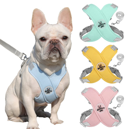 Refleciere Frenchie harness leash set