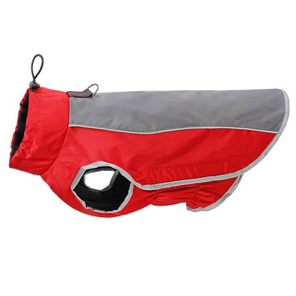 Reflective Jacket for French Bulldog