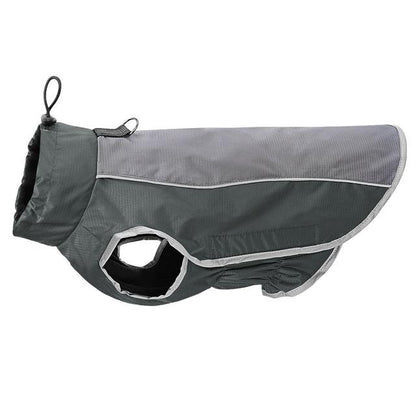 Reflective Jacket for frenchie (CS021) - Frenchie Bulldog 