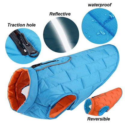 Reversible Jacket for French Bulldog product details