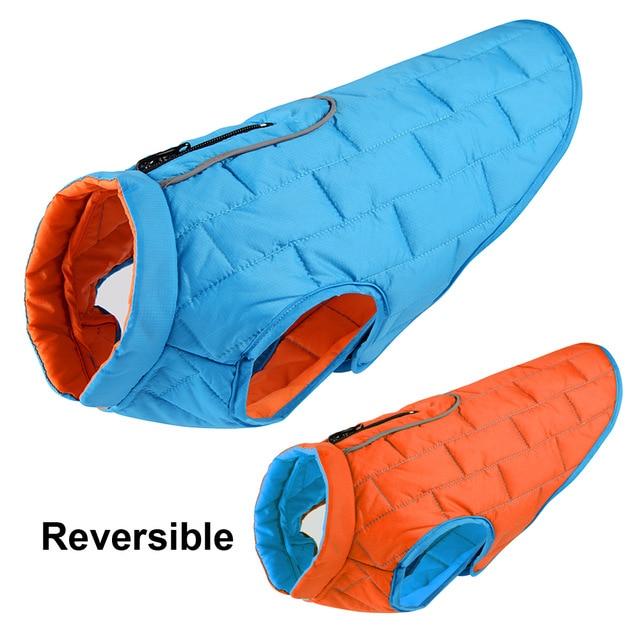Reversible Jacket for Frenchies