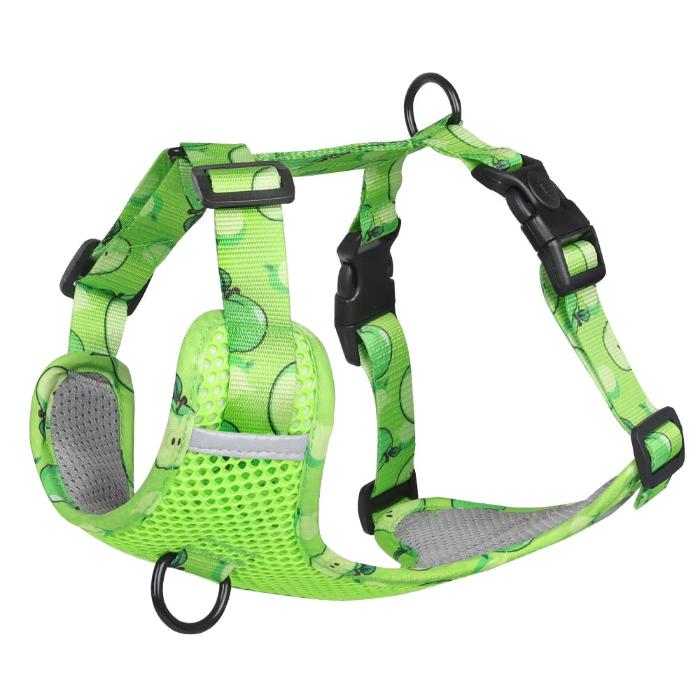 FruitFido Frenchie Breathable Harness - Frenchie shop