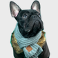 Winter Scarf for French Bulldog - Frenchie Bulldog Shop