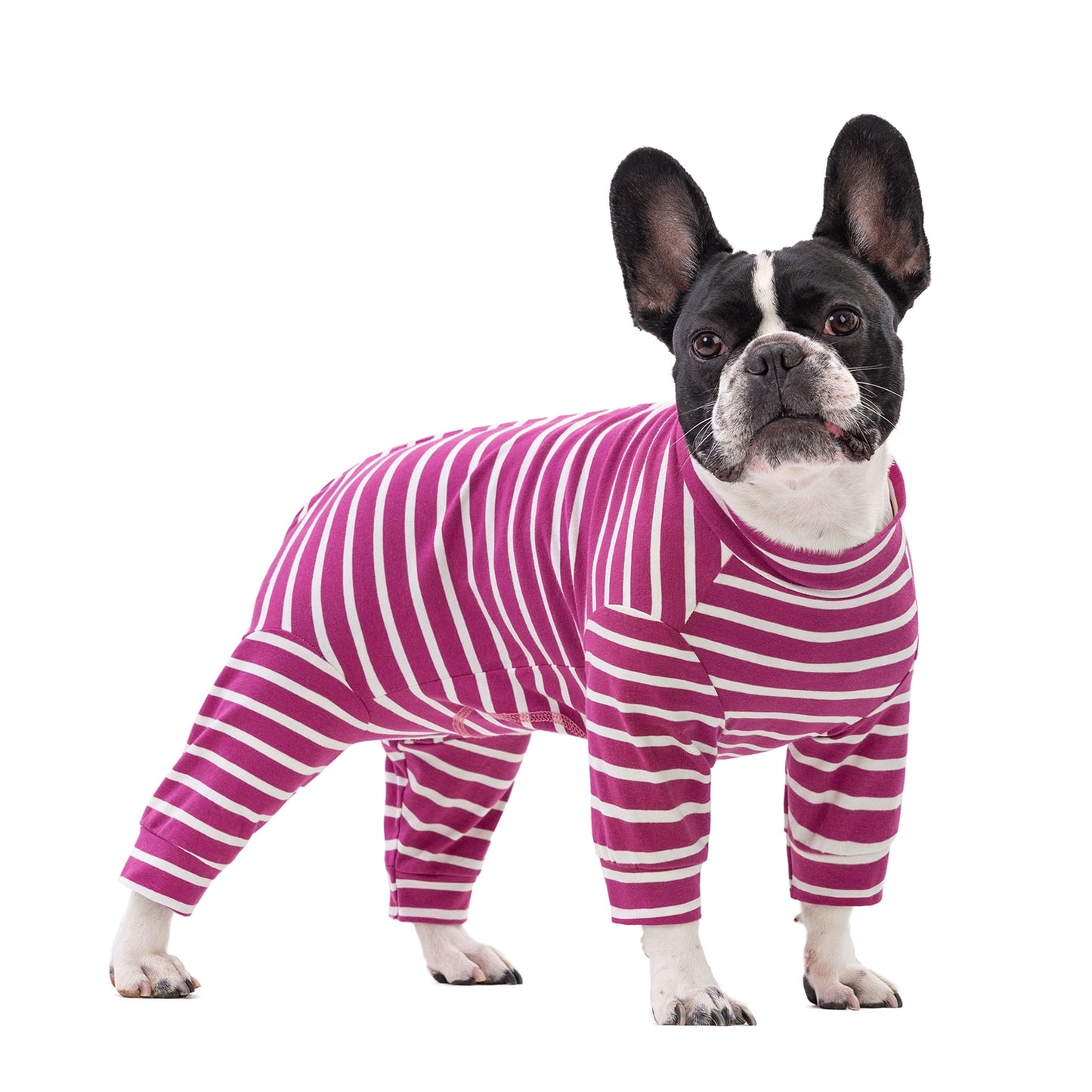 StripeNap-French-Bulldog-Pajamas-Stylish-and-Snug-Striped-Sleepwear-www.frenchie.shop