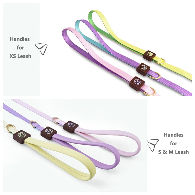 Frenchie-No-Pull-Harness-Leash-Set-Combining-Comfort-with-Control-www.frenchie.shop