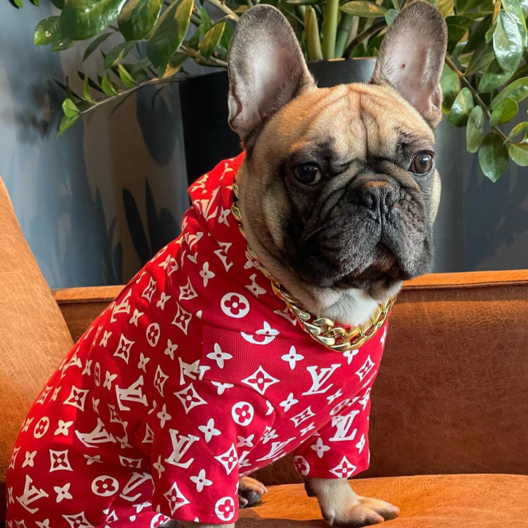 LV Cute Dog Sweatshirt