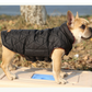 French bulldog Jacket (WS18) - Frenchie Bulldog Shop