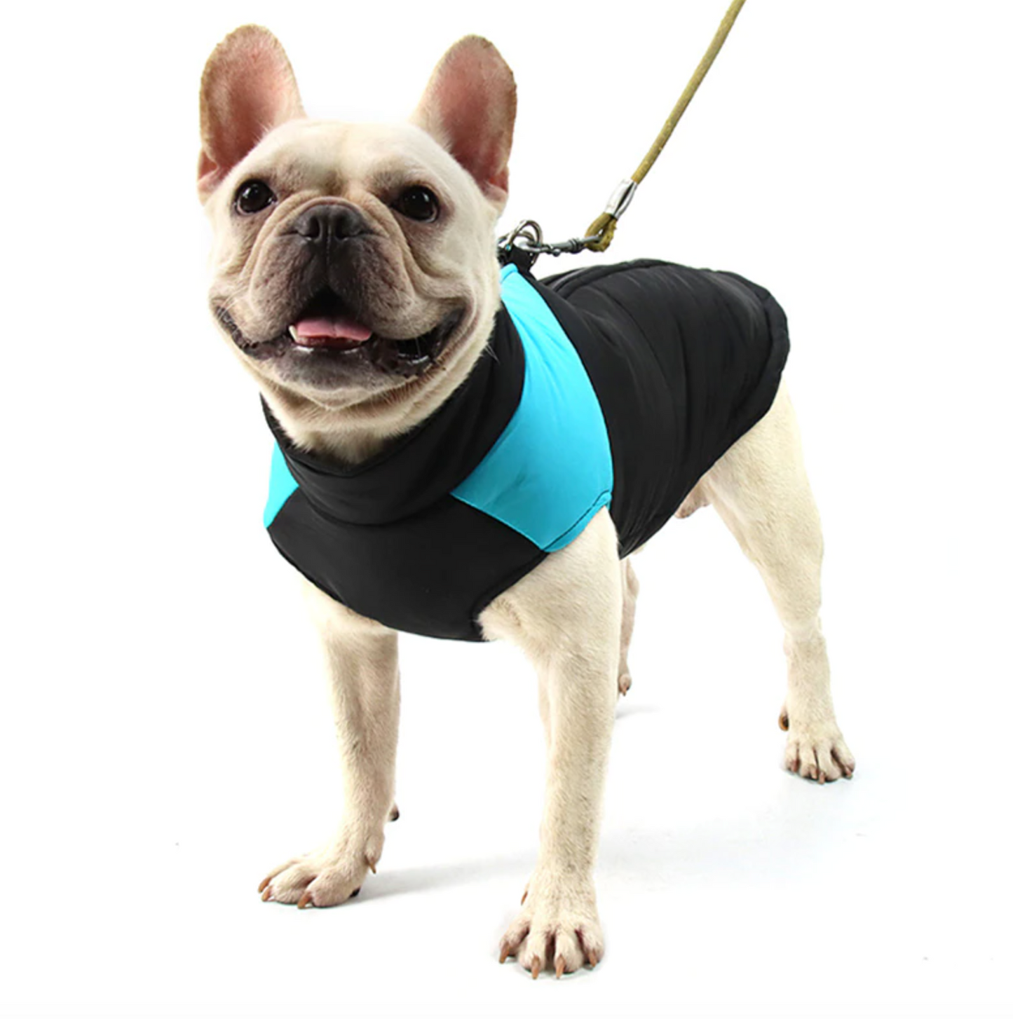 Waterproof Vest Jacket for French Bulldog (CS020) - Frenchie Bulldog Shop