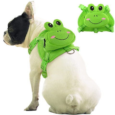French Bulldog Backpack Harness Set – frenchie Shop