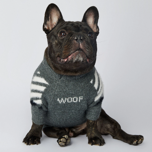 Frenchup™ - Frenchie Woof Winter Sweater V1 - Frenchie Bulldog Shop
