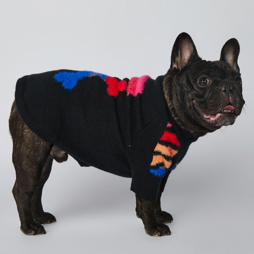 Frenchie shop deals online