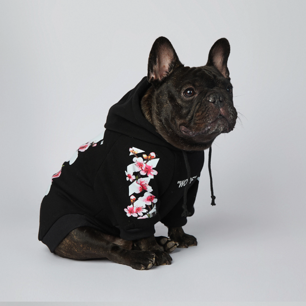 French bulldog apparel hot sale