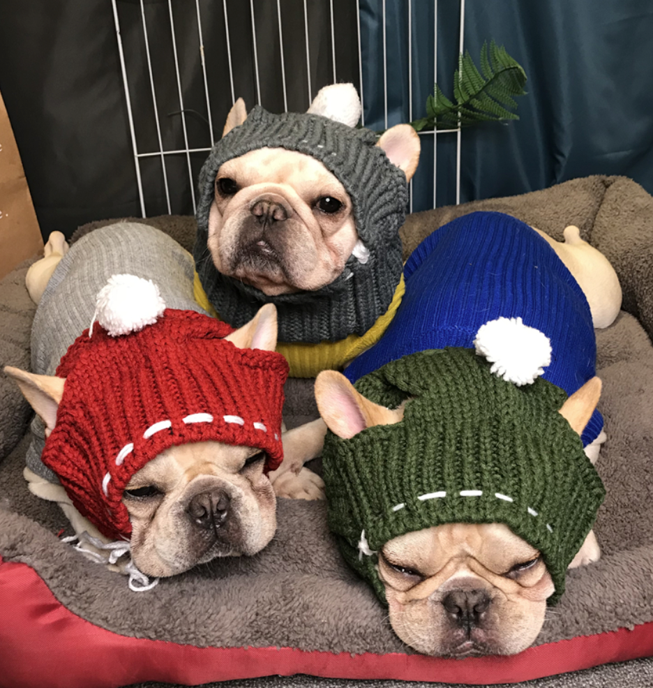 Winter Woolen Hat for French Bulldog