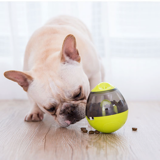 IQ Treat ball interactive food egg (WS68) - Frenchie Bulldog Shop