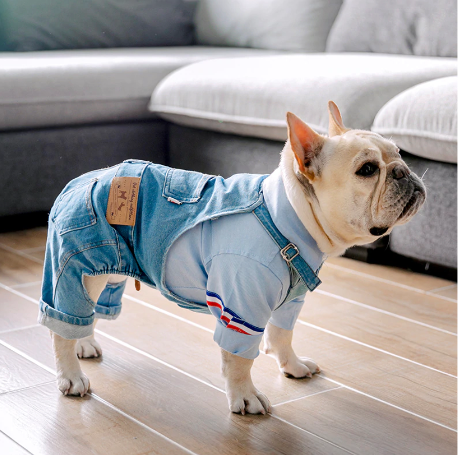 Jean Overalls Clothes Jeans Jumpsuit for French Bulldog (WS67) - Frenchie Bulldog Shop