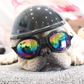 Frenchie Helmets (WS69) - Frenchie Bulldog Shop