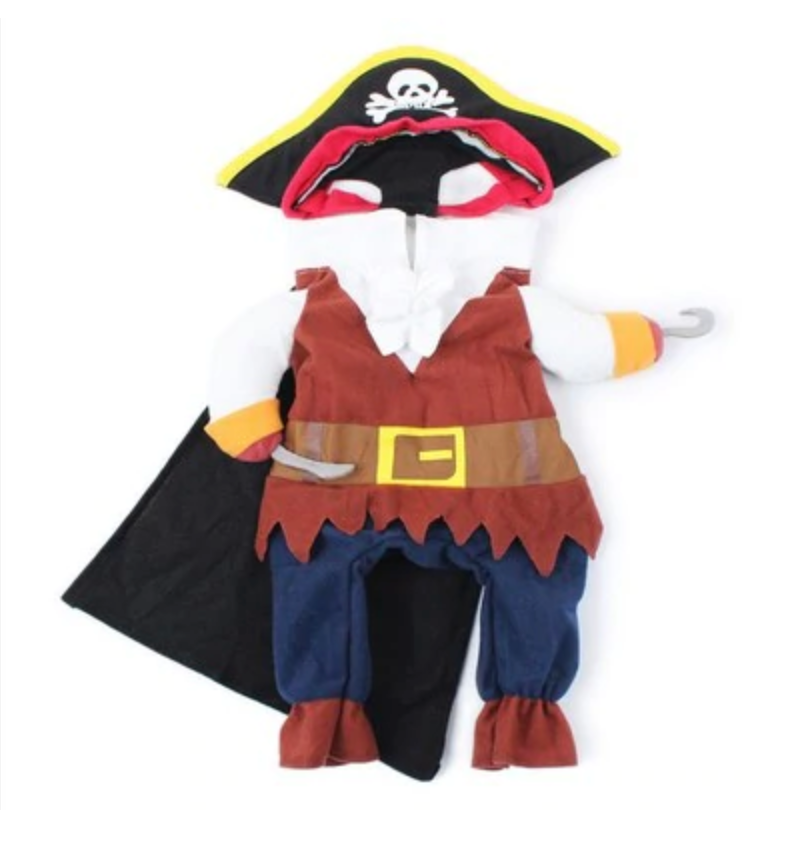 Caribbean Pirate French Bulldog Halloween Costume - Frenchie Bulldog Shop