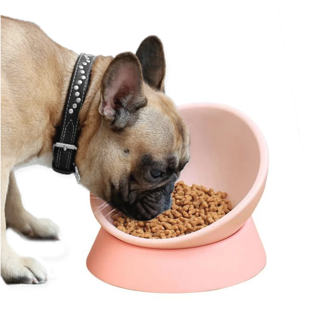360 Degree Frenchie Bowl - frenchie Shop