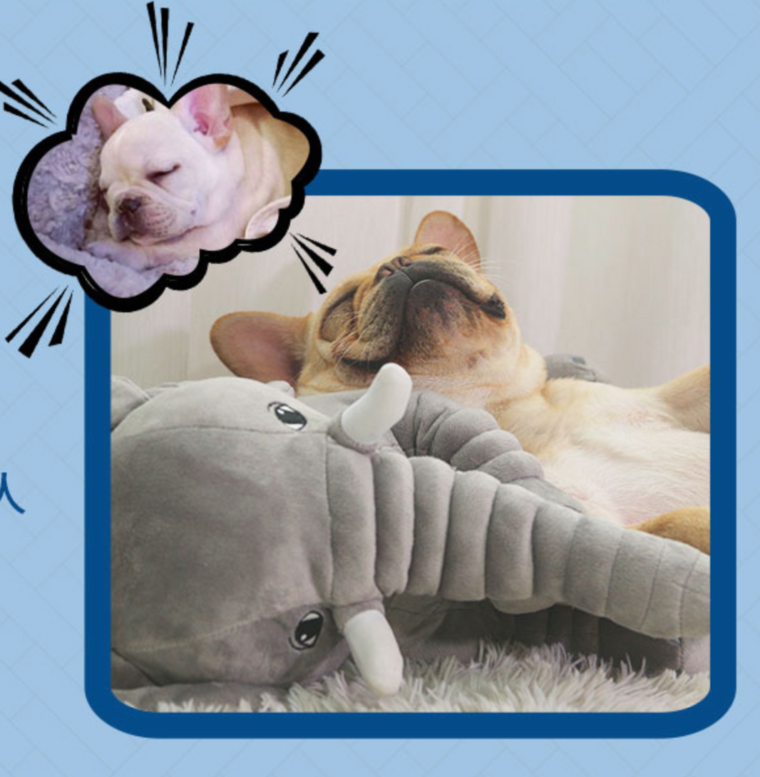 Beds For French Bulldog | frenchie Shop