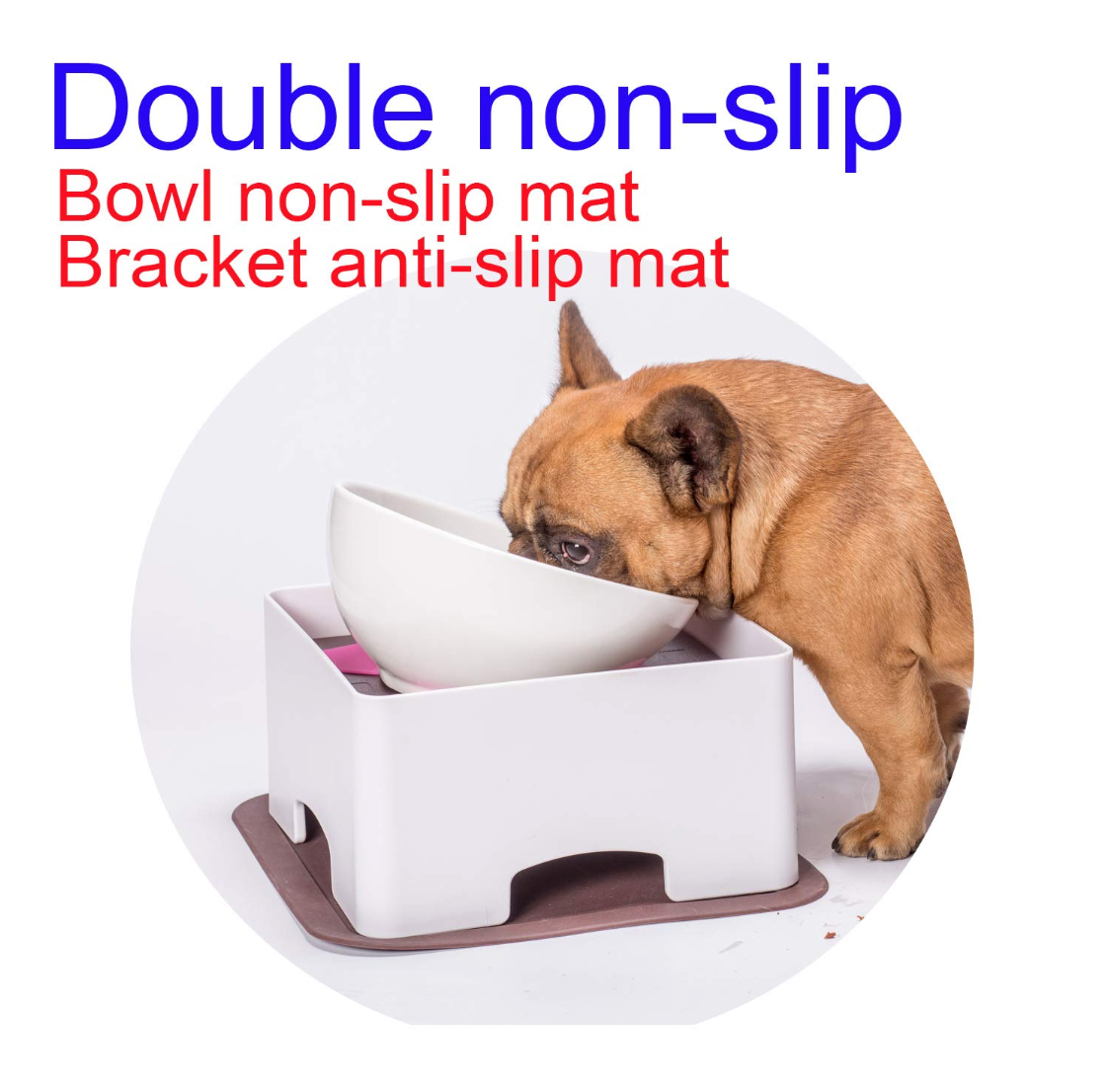 Ceramics Bowl for Frenchies (WS41) - Frenchie Bulldog Shop