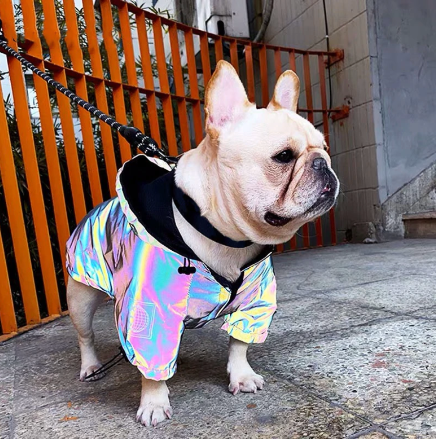 Reflective French Bulldog Jacket WS39 frenchie Shop