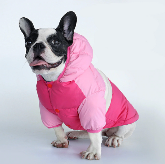 Winter Coat Waterproof Coat for French Bulldog (CS032) - Frenchie Bulldog Shop