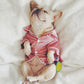 Silk Pajamas Shirt for Frenchies (WS105) - Frenchie Bulldog Shop