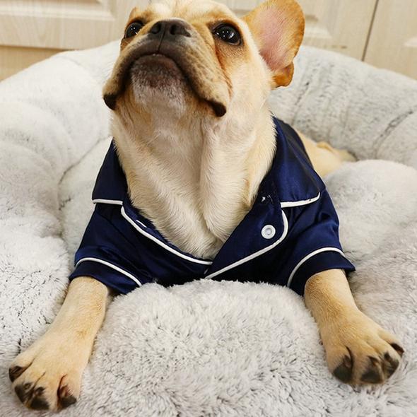 Silk Pajamas Shirt for Frenchies (WS105) 