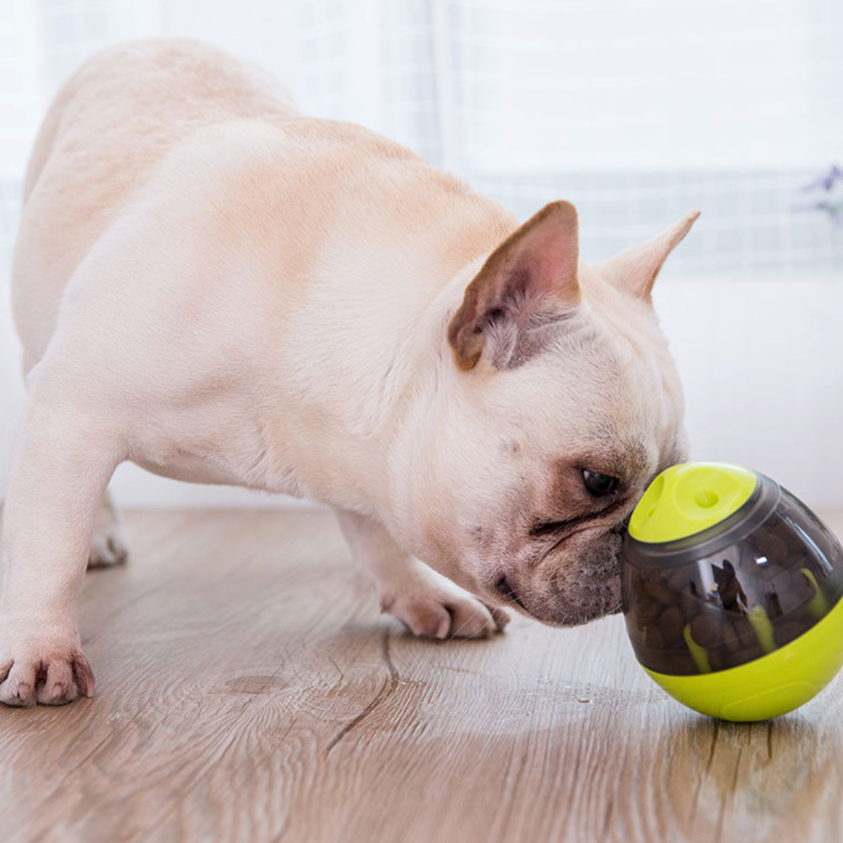 Slow feeder IQ ball for pets