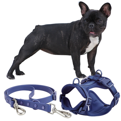 Stylish Quick Release Harness for French Bulldog