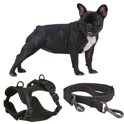 Stylish Quick Release Harness with leash for Frenchie