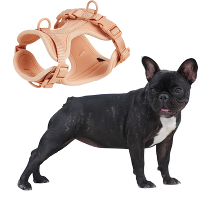 Stylish Quick Release Harness with leash for Frenchies