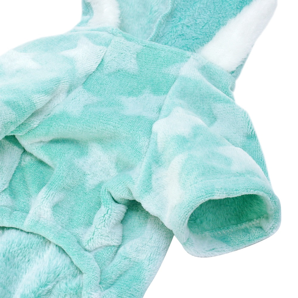 Stylish winter outfit for Frenchie