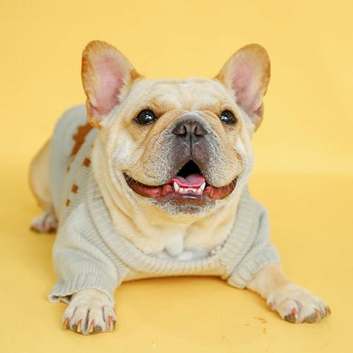 Trendy Christmas Print Warm Sweater