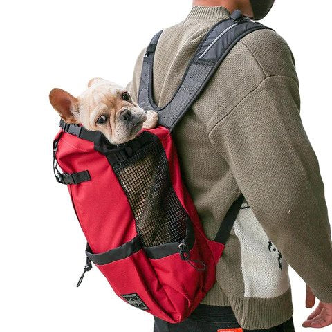 Frenchie Backpack™ [V1] (CS03)  French bulldog clothes, French