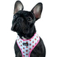 My Valentine - Frenchie Harness By MeeLo - Frenchie Bulldog Shop
