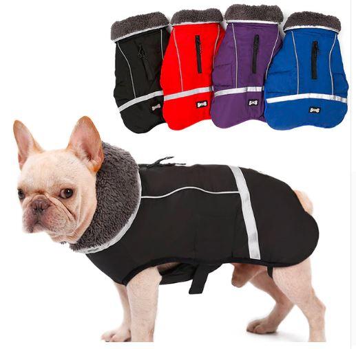 Warm Coat for frenchie