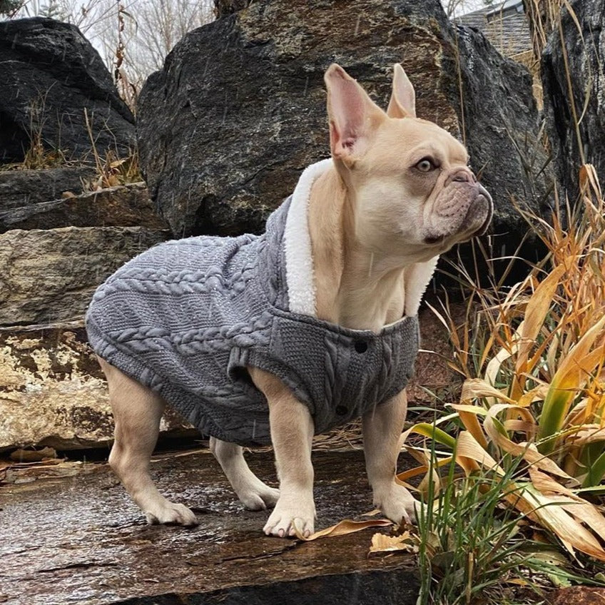 Warm Sweater for French Bulldog