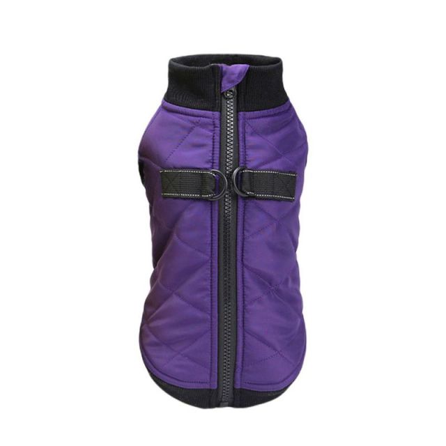 Warm and waterproof Frenchie vest