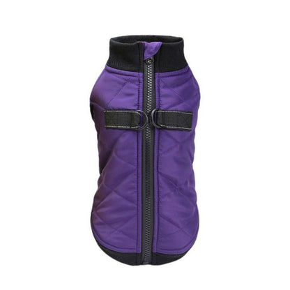 Warm and waterproof Frenchie vest